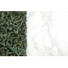 Organic & artisanal tagliatelle with spirulina from France - Direct...
