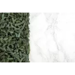 Tagliatelle à la spiruline bio & artisanale de France - Direct prod...