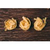 Organic & artisanale tagliatelle with hazelnuts from Italy - Direct...
