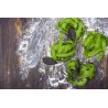 Organic & artisanal spinach tagliatelle from Italy - Direct producer