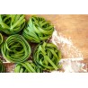 Organic & artisanal spinach tagliatelle from Italy - Direct producer