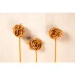 Tagliatelle bio & artisanale à la châtaigne AOP AOC d'Ardèche - Dir...