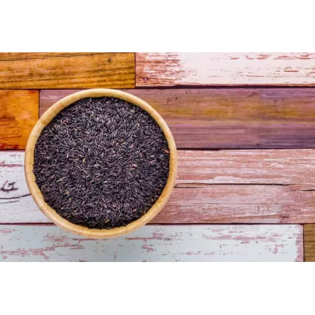 Organic black rice PGI from Camargue - Direct producer