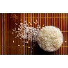 Riz bio étuvé IGP de Camargue - direct producteur