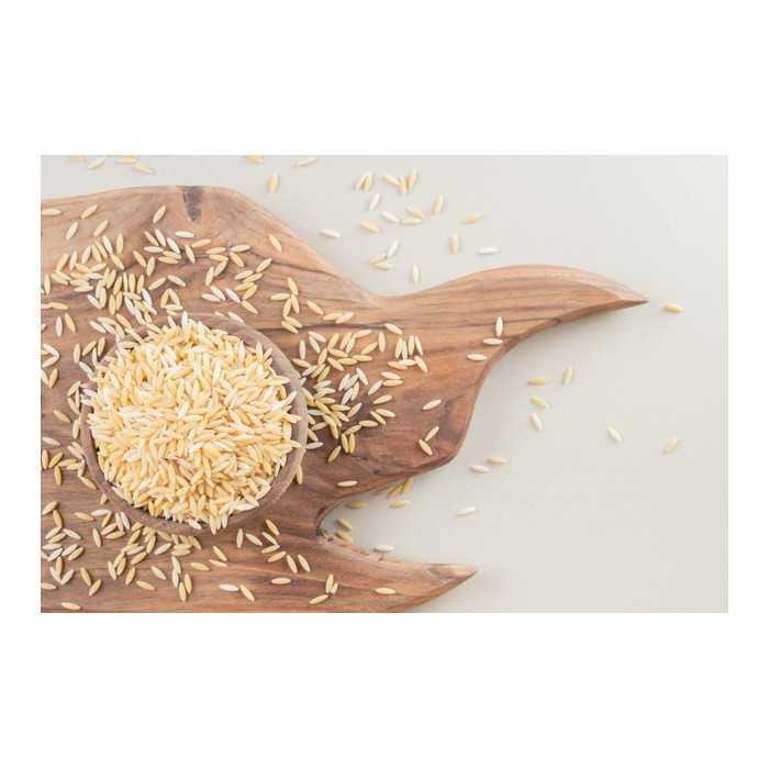 Organic parboiled rice PGI from Camargue - direct producer