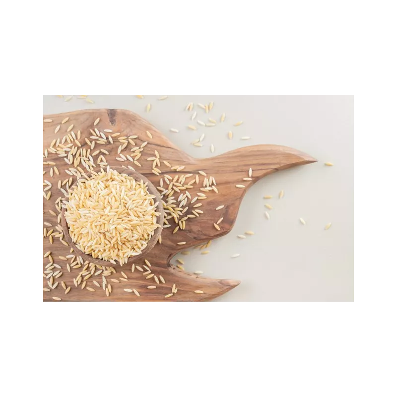 Organic parboiled rice PGI from Camargue - direct producer