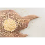 Organic parboiled rice PGI from Camargue - direct producer