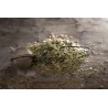 Organic dried eucalyptus leaves from Portugal