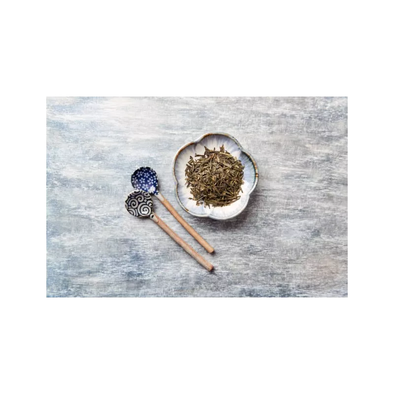 Thé Vert IGP Darjeeling De l'Himalaya bio et fair trade Premium