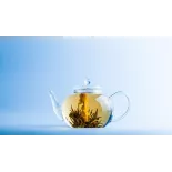 Organic & fairtrade blooming green tea & Jasmine - Direct producer