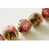 Organic & fairtrade blooming green tea & Jasmin & Chrysanthemum & A...