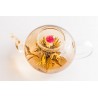 Organic & fairtrade blooming green tea & jasmine & osmanthus & Red ...