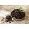 Organic & fairtrade black tea PGI Darjeeling from Himalayan