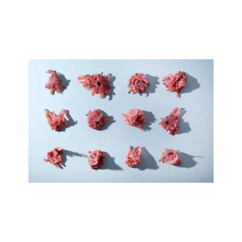 Organic Candied Hibiscus flowers from Spain