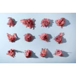 Organic Candied Hibiscus flowers from Spain