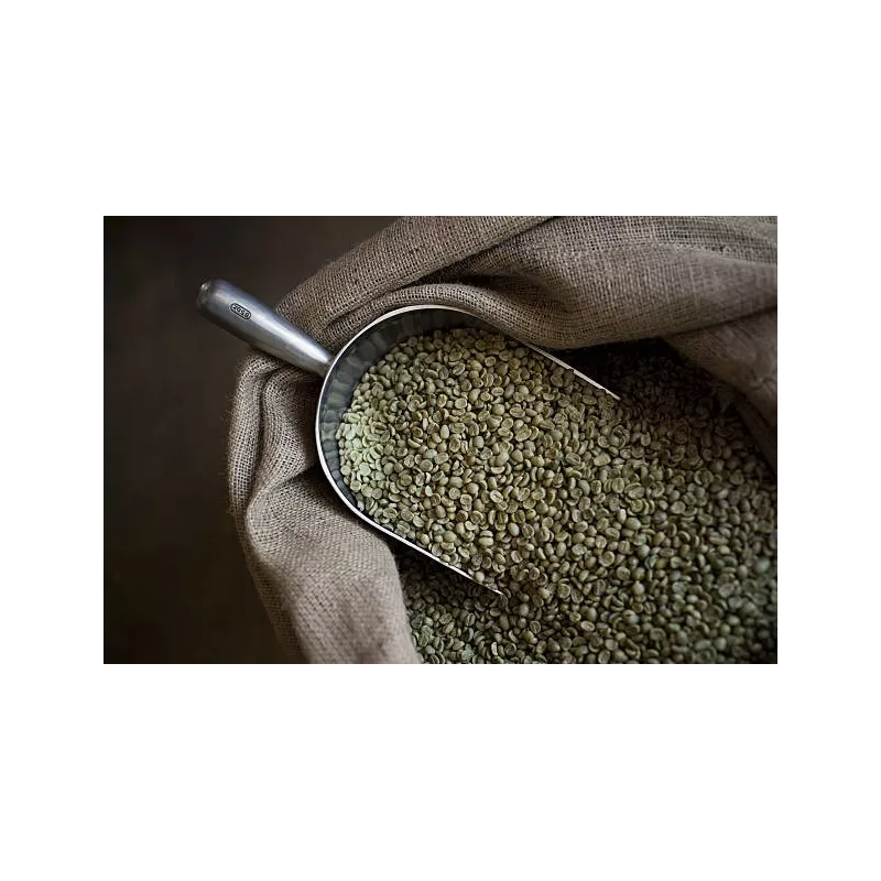 Café vert rare Cuzco en grain bio & fairtrade du Pérou