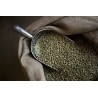 Rare organic & fairtrade Green Coffee Bean Cuzco from Peru