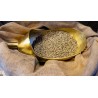 Rare organic & fairtrade Green Coffee Bean Cuzco from Peru