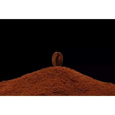 Organic & fairtrade ground Moka Sidamo coffee from Ethiopia - Direc...