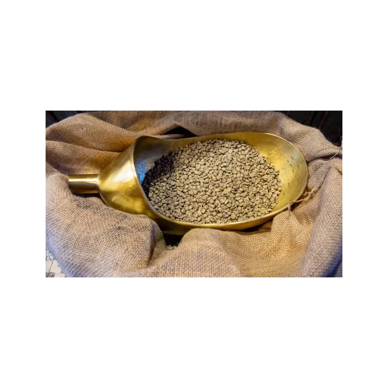 Café vert naturel & fairtrade en grain d'Haïti Premium - Direct pro...