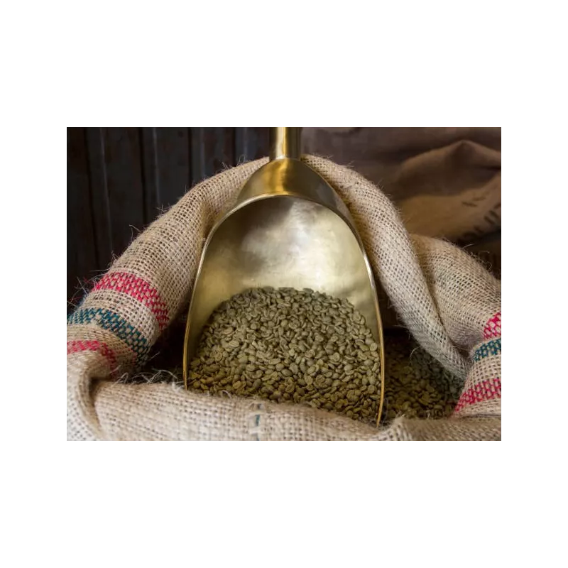 Café vert naturel & fairtrade en grain d'Haïti Premium - Direct pro...