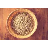 Natural & fairtrade green coffee beans from Haiti Premium - Direct ... Natural & fairtrade green coffee beans from Haiti Premium - Direct ...