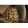 Blue Mountain Green Coffee Bean from Jamaica