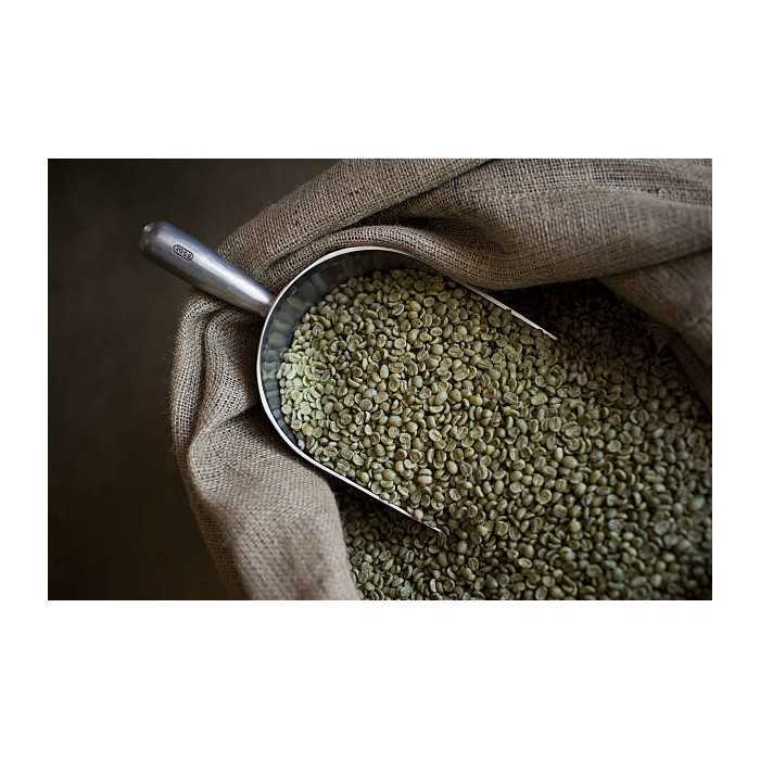Blue Mountain Green Coffee Bean from Jamaica