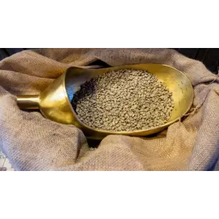 Blue Mountain Green Coffee Bean from Jamaica