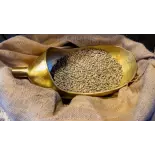 Blue Mountain Green Coffee Bean from Jamaica Blue Mountain Green Coffee Bean from Jamaica