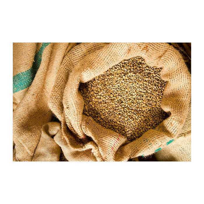 Blue Mountain Green Coffee Bean from Jamaica