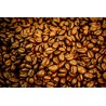 Blue Mountain Coffee bean From Jamaica - Direct roaster