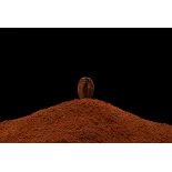 Café Blue Mountain De La Jamaïque Moulu - Direct torréfacteur