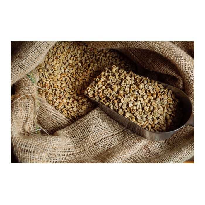 Green Skybury coffee bean from Australia