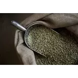 Green Skybury coffee bean from Australia