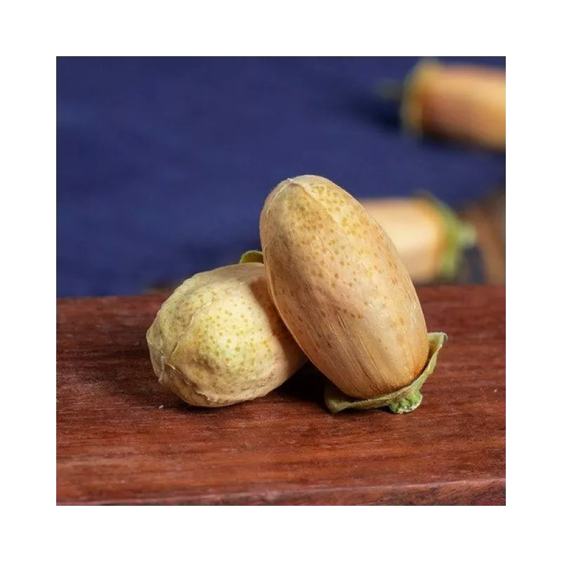 Bouton de fleurs d'orangers séchées bio du Maroc - direct producteur