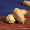 Organic dried orange blossom bud from Morocco - Direct producer