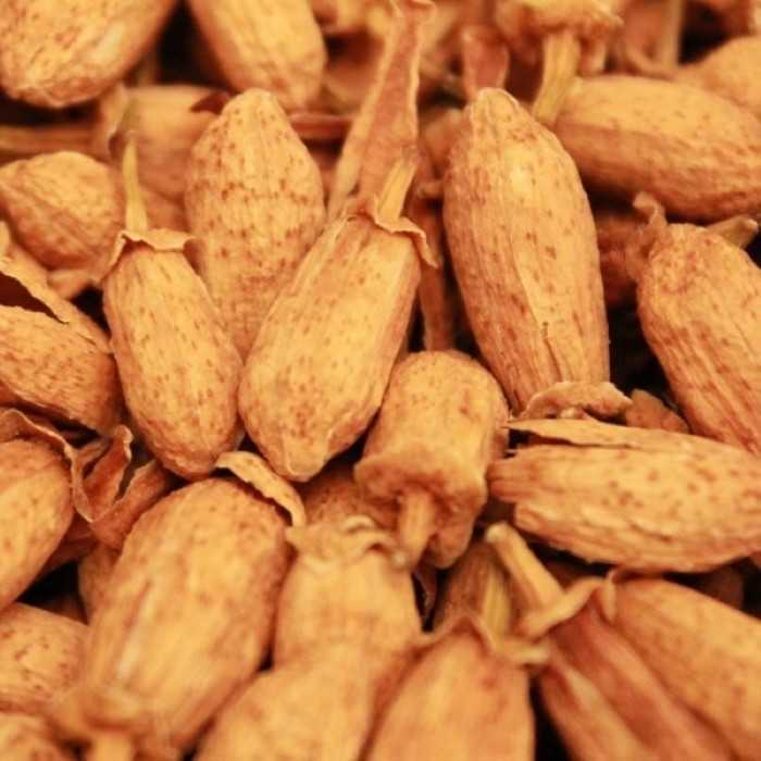 Organic dried orange blossom bud from Morocco - Direct producer