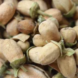Bouton de fleurs d'orangers séchées bio du Maroc - direct producteur