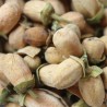 Organic dried orange blossom bud from Morocco - Direct producer