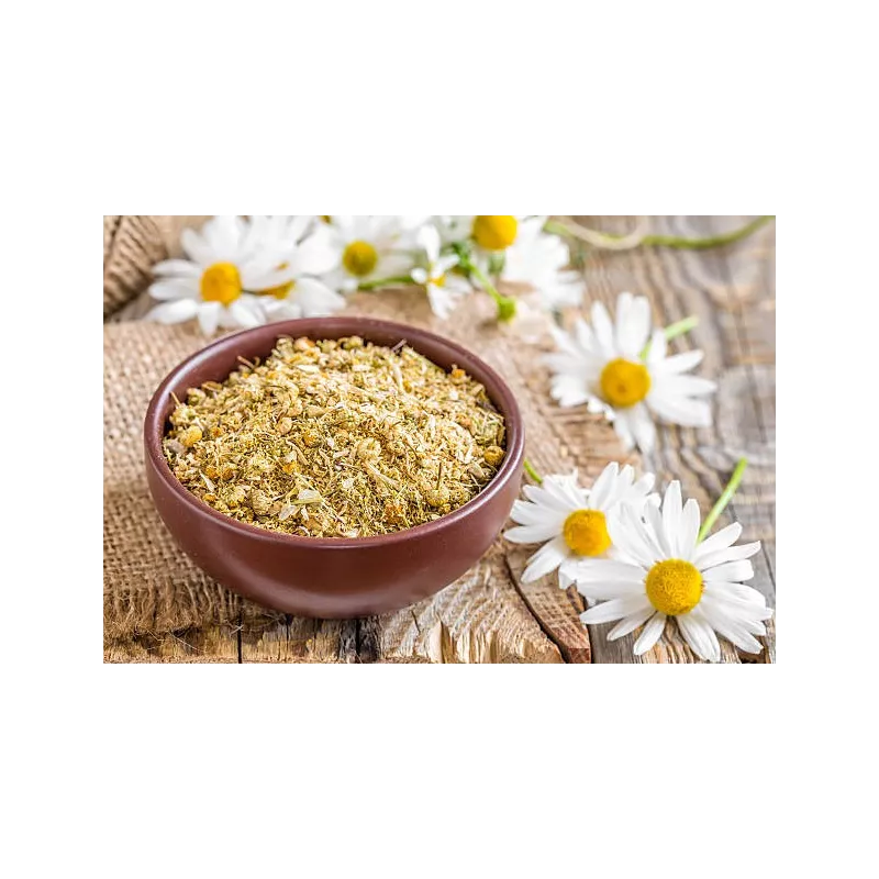 Fleurs de camomille allemande séchées bio De France - Direct produc...