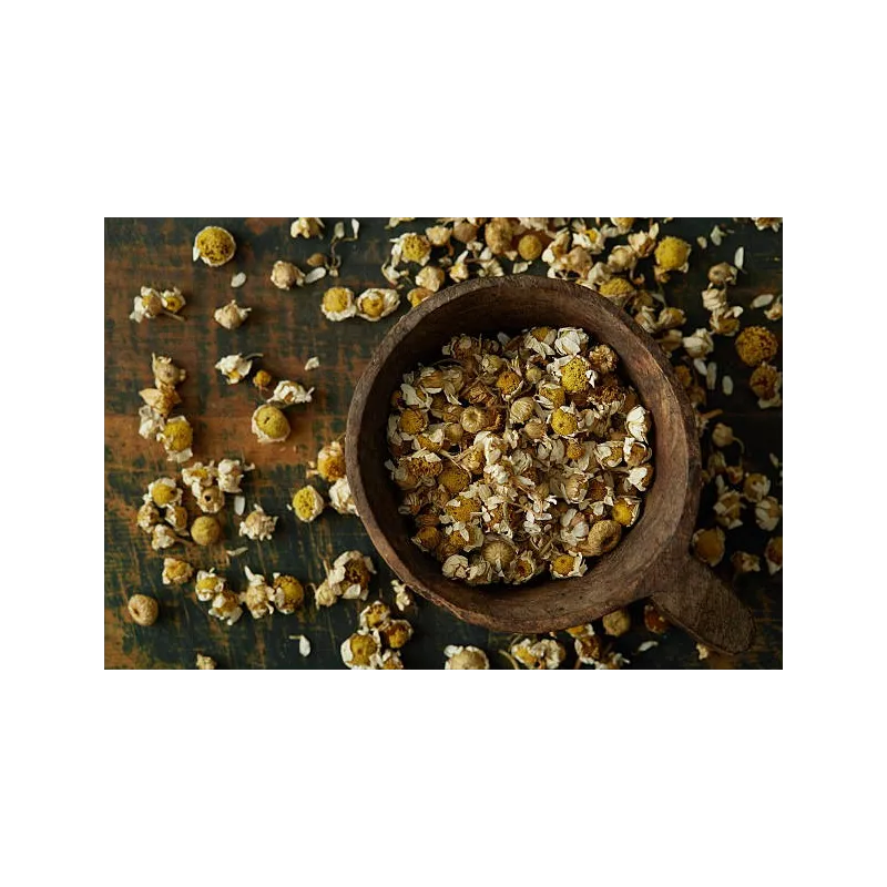 Fleurs de camomille allemande séchées bio De France - Direct produc...