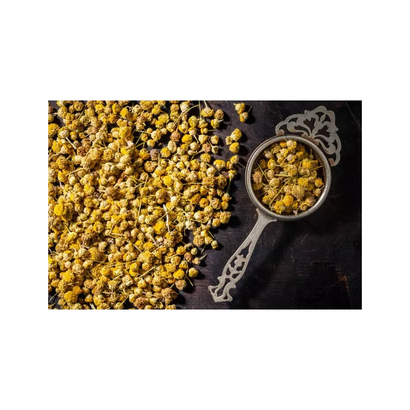 Fleurs de camomille allemande séchées bio De France - Direct produc...