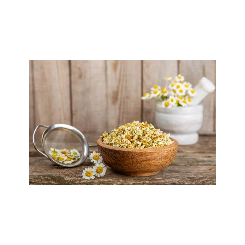 Fleurs de camomille romaines séchées bio De France - Direct producteur