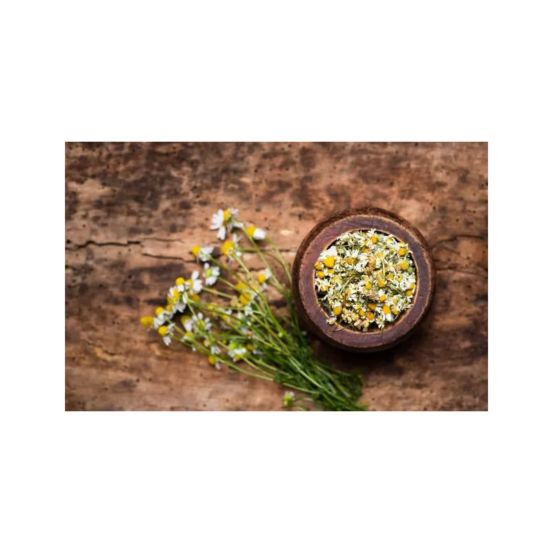 Fleurs de camomille romaines séchées bio De France - Direct producteur