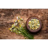 Fleurs de camomille romaines séchées bio De France - Direct producteur