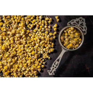 Fleurs de camomille romaines séchées bio De France - Direct producteur