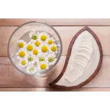 Fleurs de camomille matricaire bio en poudre pure De France - Direc...