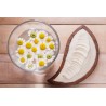 Organic chamomile flowers in pure powder From France - Direct producer