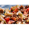 Organic dried pomegranate flowers & fairtrade from Uzbekistan